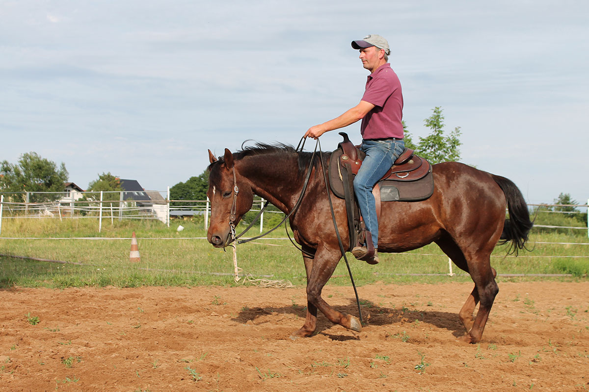 pferdetraining-pfalz-unterricht6