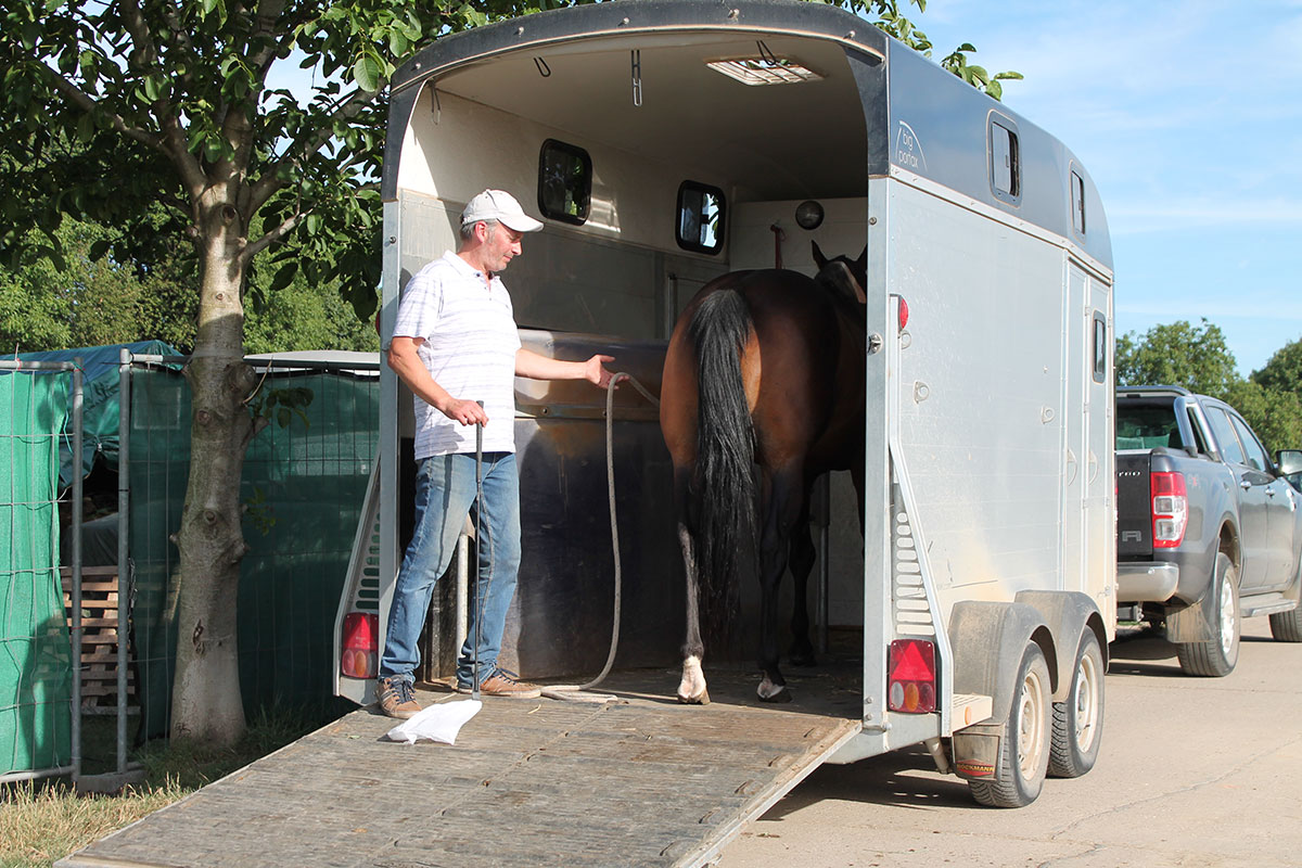 pferdetraining-pfalz-verladetraining4